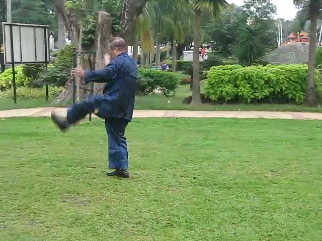 Shaolin 36 Leg Techniques